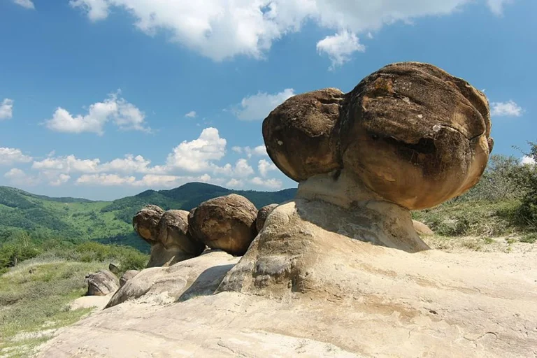 Mysterious living stones that grow, move, and reproduce