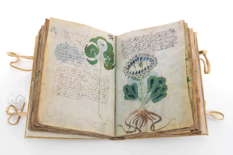 Voynich manuscript