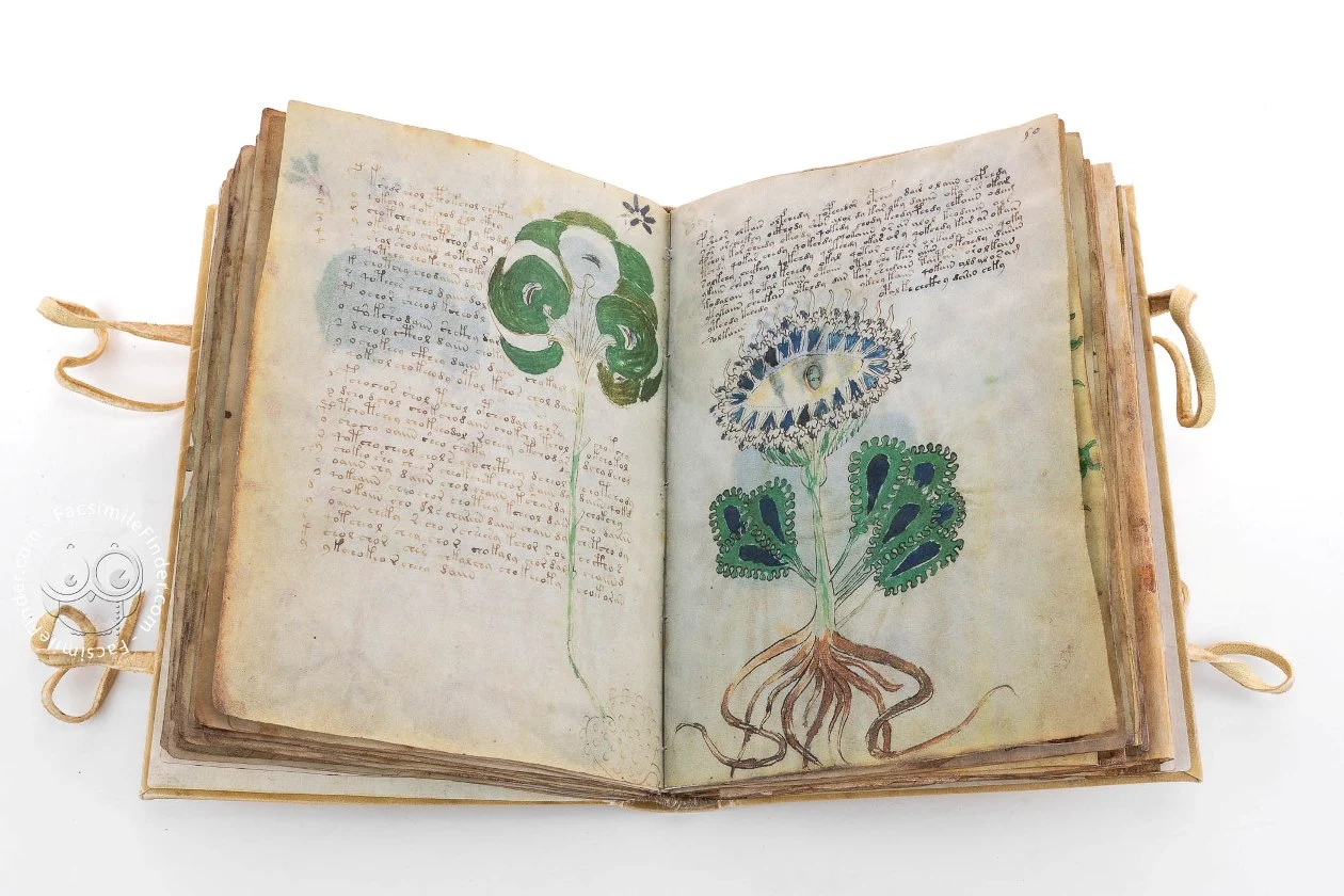 voynich manuscript