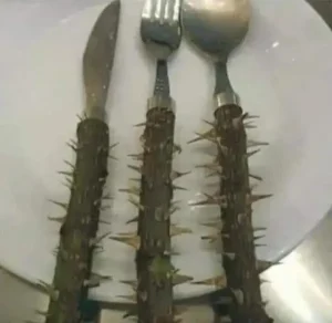 Diet Cutlery