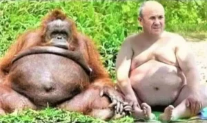 Is evolution proven or not