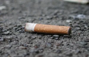 Cigarette butt