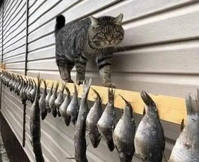 How happiness looks like