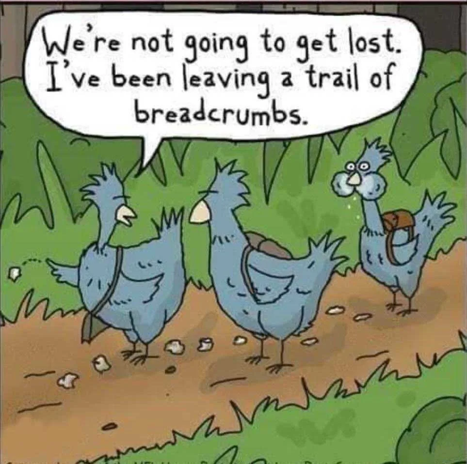 Bird Hikes