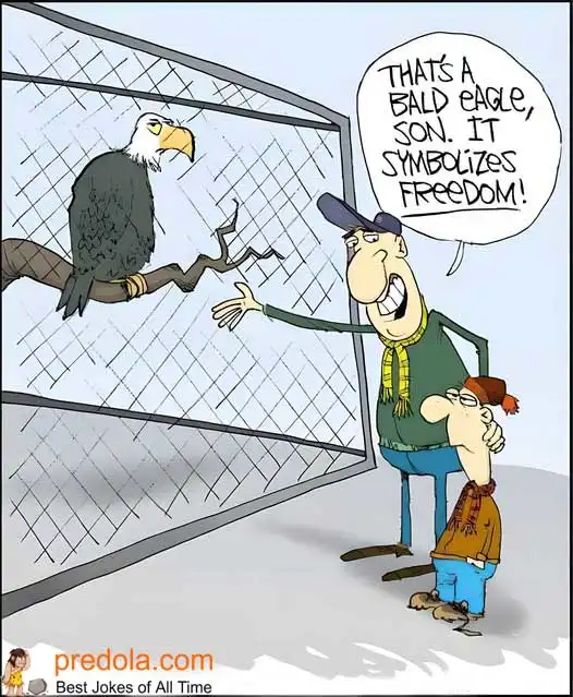 Freedom behind bars