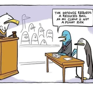 Good lawyer