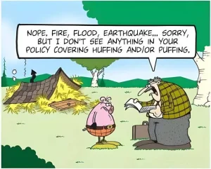Insurance policy