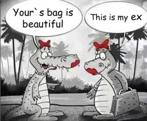 Latest fashion