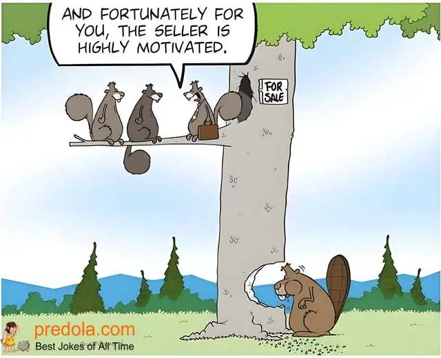 Rough neighborhood