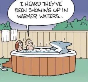 Shark migration
