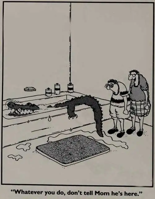 Bathroom surprise
