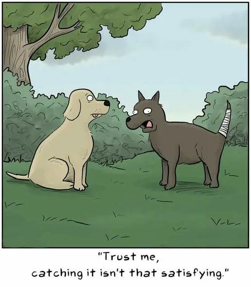 Fulfill your wish