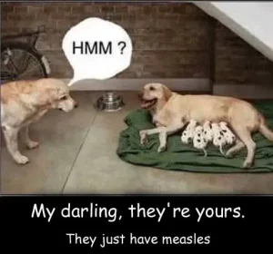 Husband`s suspicions
