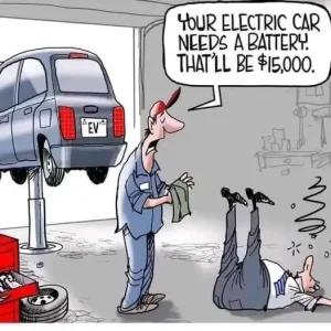 Price for ecology