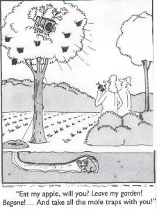 What was really in Eden garden?