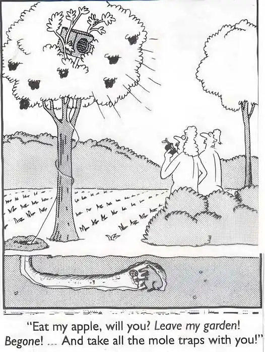 What was really in Eden garden?