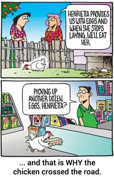 And that is WHY the chicken crossed the road