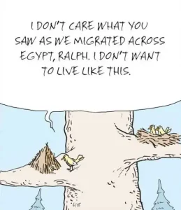 Influence of other civilization