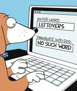 Peculiarities of dog`s diet