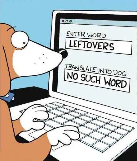 Peculiarities of dog`s diet