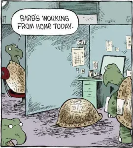 Teleworking