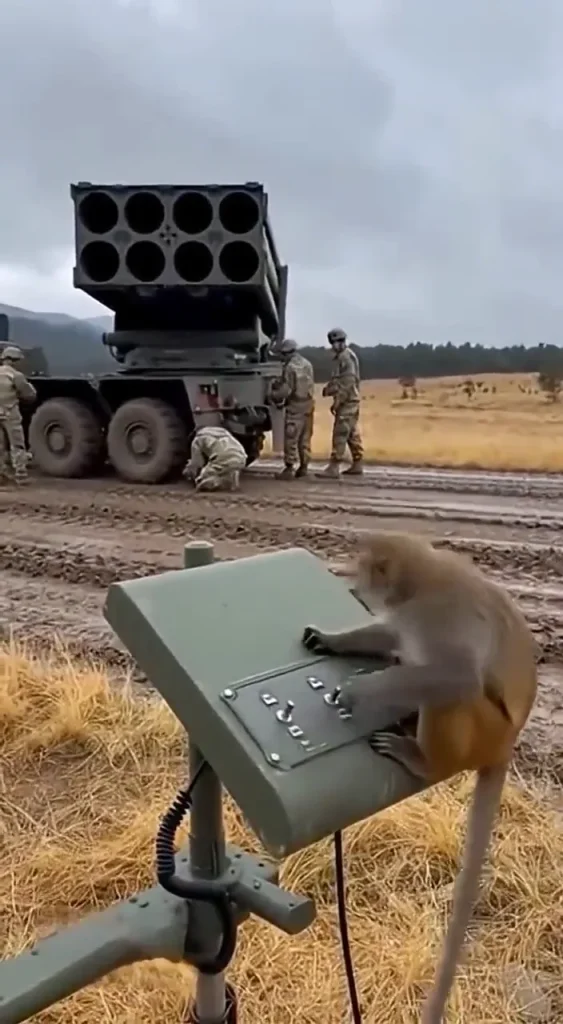 The War Begins