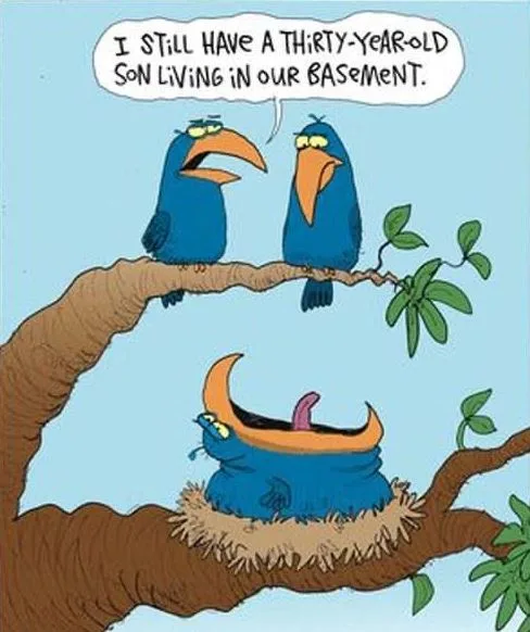 Modern youngster