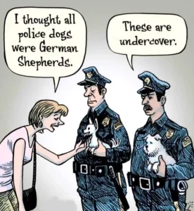 Pocket-size spies