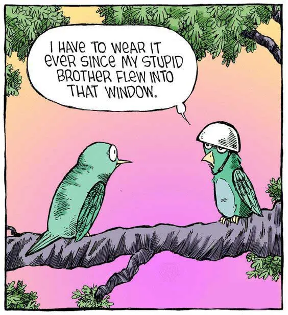 Safety gear