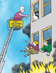 Somebody must be rescued first