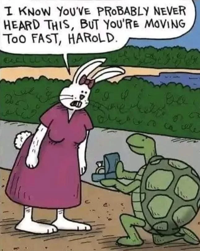 Sometimes speed is bad factor
